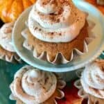 Pumpkin Spiced Cupcakes with Salted Maple Frosting