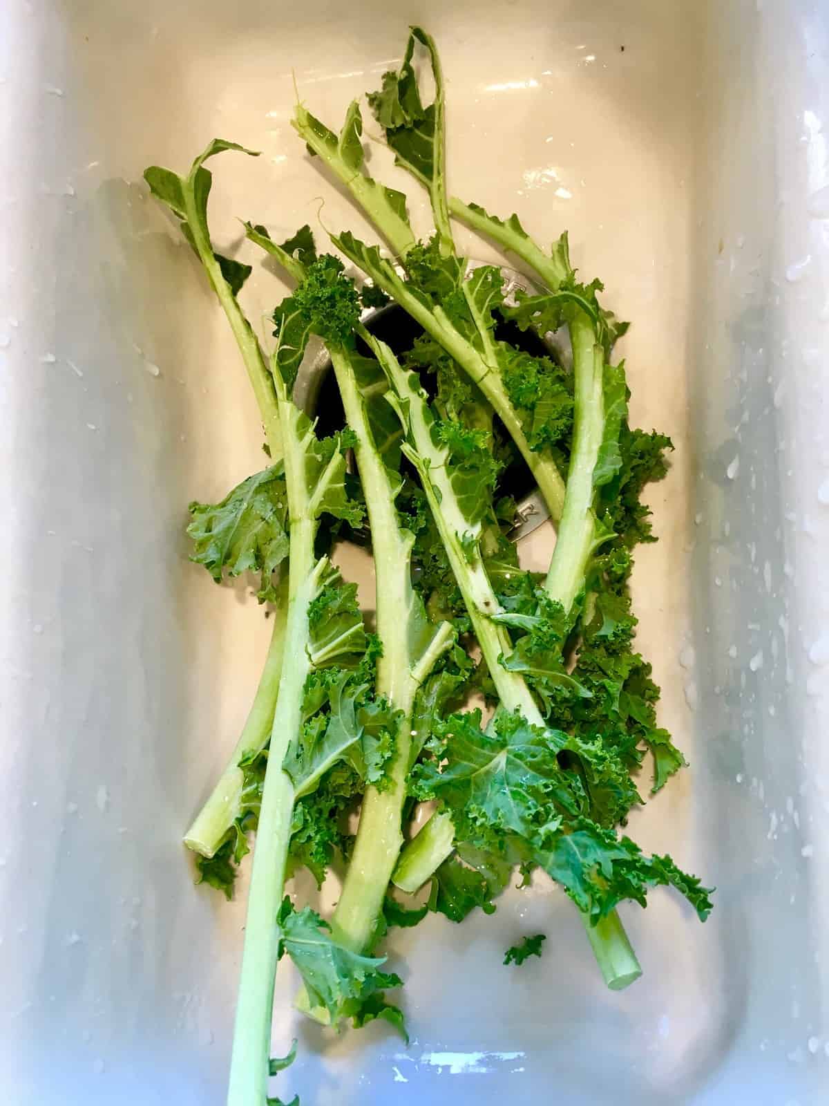 The Best Way to Prepare Kale Audrey Dunham